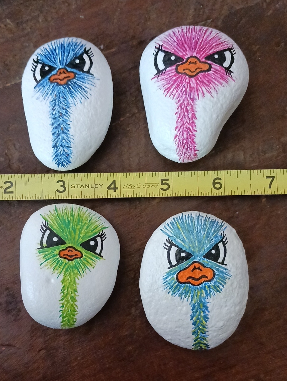 Hand Painted Ostrich Rocks - Picture 7 of 7